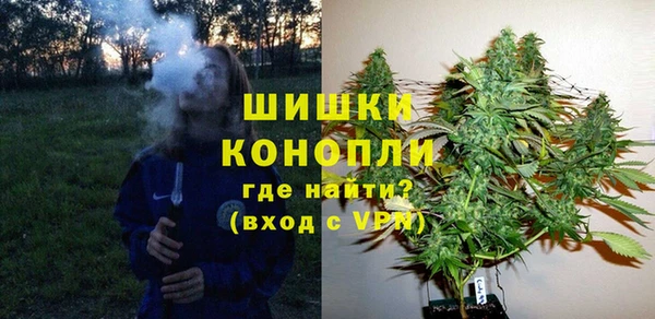 стафф Елизово