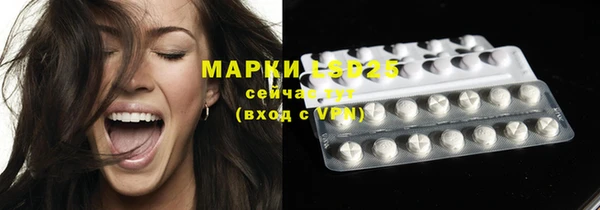 стафф Елизово