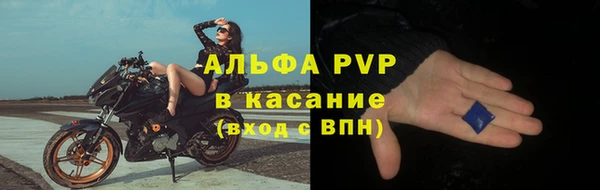 стафф Елизово