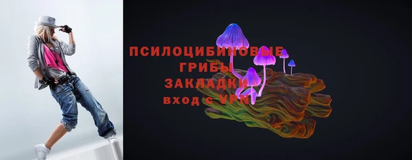 стафф Елизово