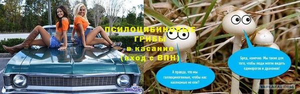 мяу мяу мука Ельня