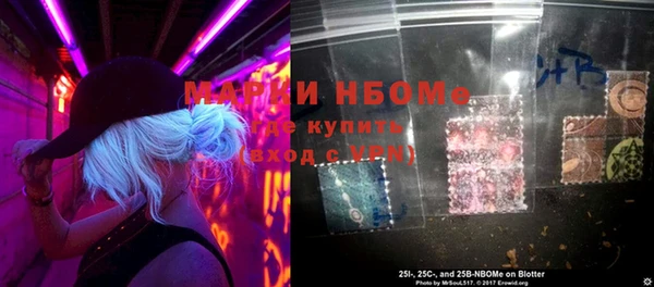 стафф Елизово