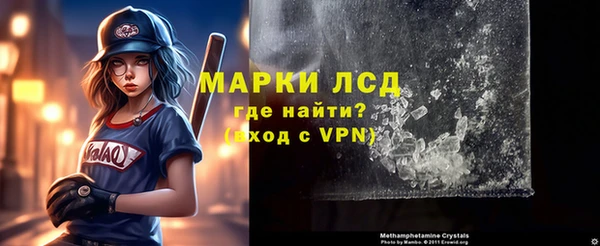 стафф Елизово