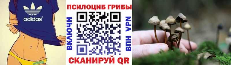 где продают наркотики  Избербаш  KRAKEN ONION  Галлюциногенные грибы ЛСД 